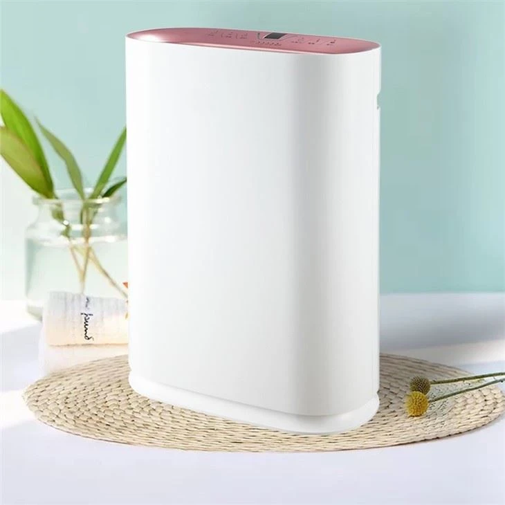 BKJ-300 Anion Air Quality Home Air Purifier