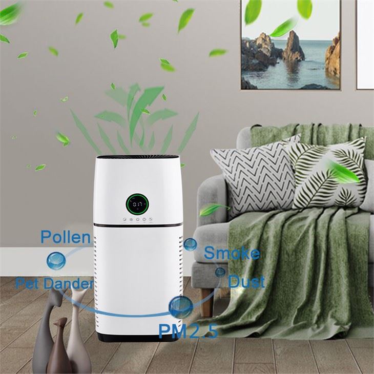 BKJ-500 Lub Tsev Ua Haujlwm Zoo Tshaj Plaws Hauv Tsev Cua Purifier Chav