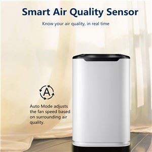 BKJ-215C Room Factory OEM Cua Purifier