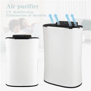 BKJ-350 Lub Tsev Cua Purifier Nrog Hepa Carbon Lim