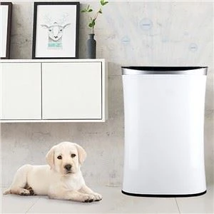 BKJ-350Lub Tsev Siv Tau Zoo Siv Cua Purifier Fresh Air