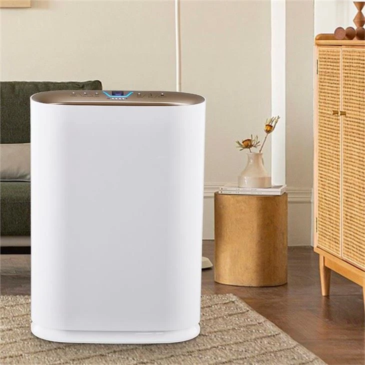 36㎡ Chaw Tsim Khoom Cua Purifier
