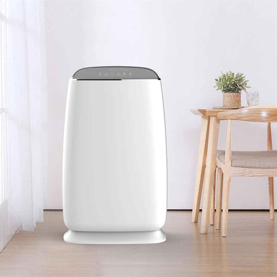 BKJ-16A Economic Lub Tsev Cua Purifier Nrog Anion Technology